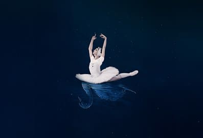 p tchaikovsky the best of swan lake