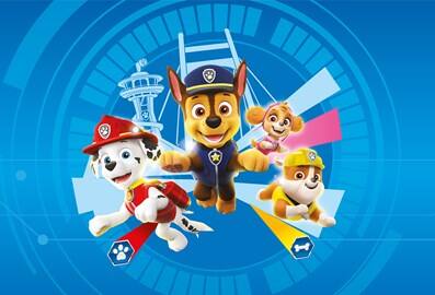 paw patrol fest