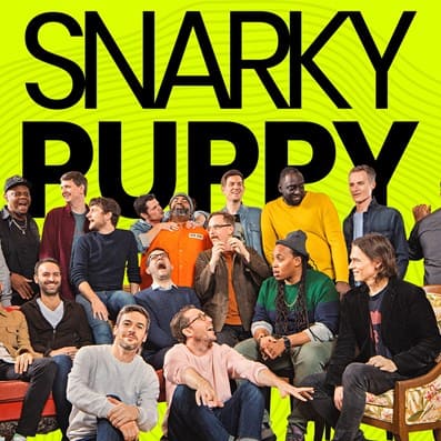 snarky puppy