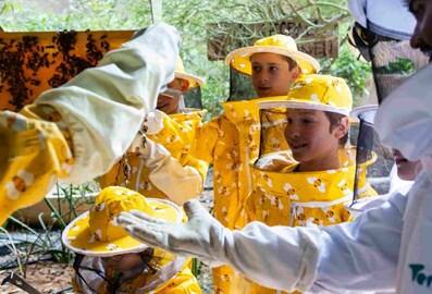 terra beekeepers