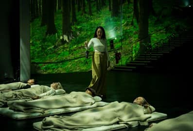 toda earth month immersive experience