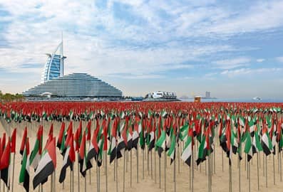 uae flag garden
