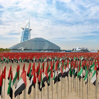 uae flag garden