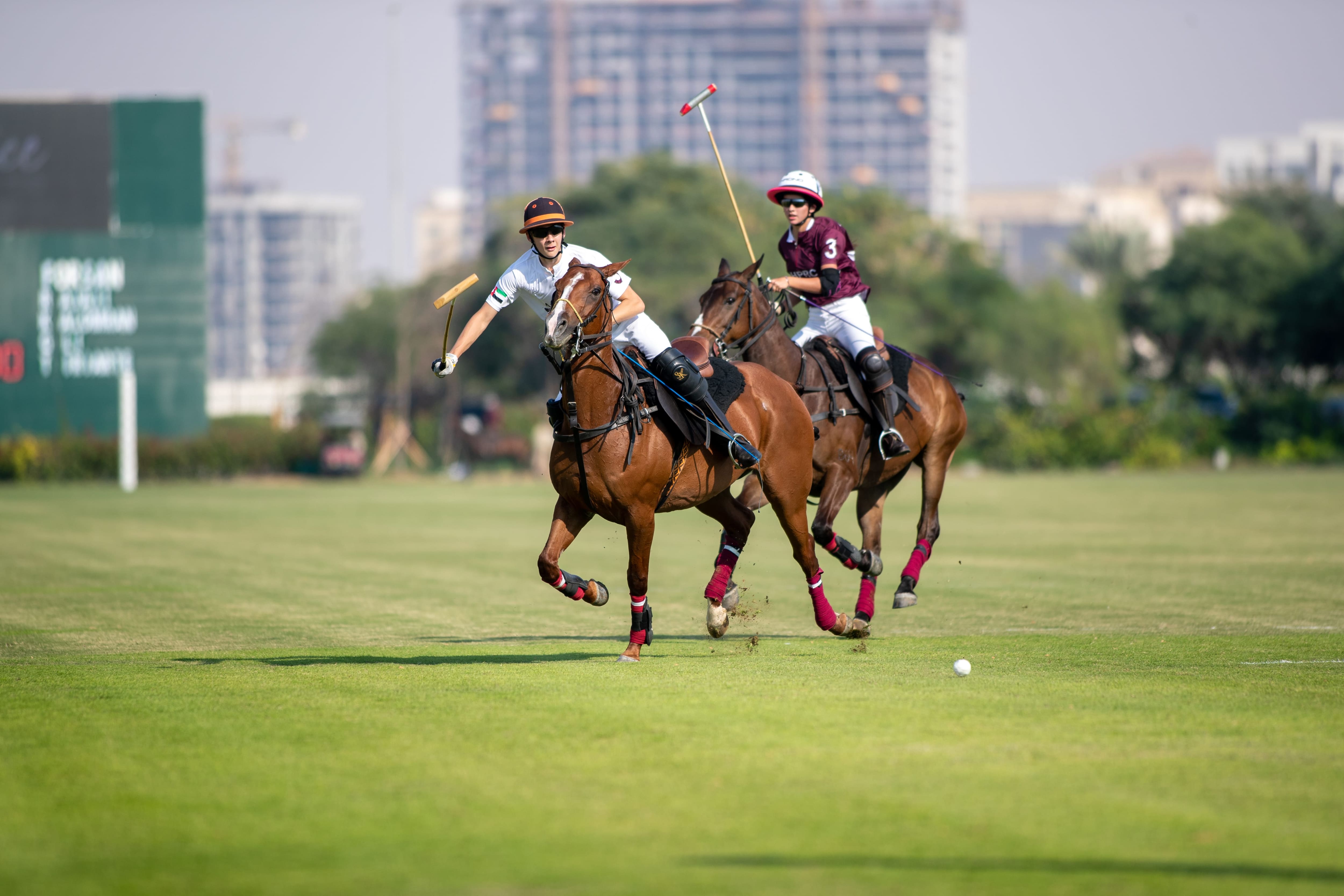 ['UAE National Day Cup']