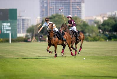 UAE National Day Cup