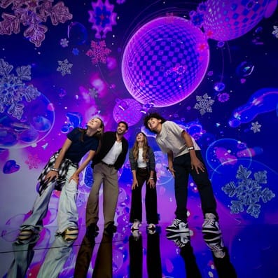 winter wonderverse house of hype