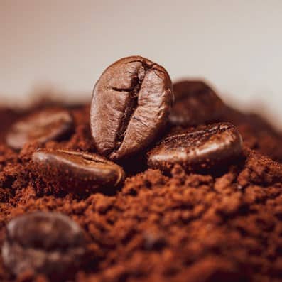 World of Coffee Dubai