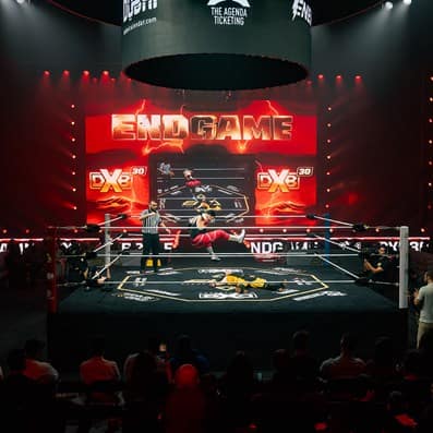 wrestle fest endgame