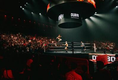 wrestlefest two men fighting