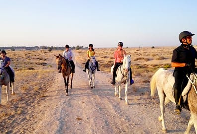 Al Jiyad Stables Dubai
