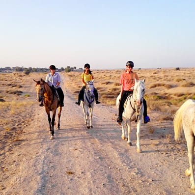 Al Jiyad Stables Dubai