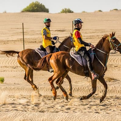 al jumooh ranch equestrian