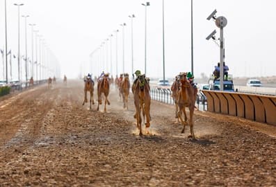 Al marmoom Heritage Village