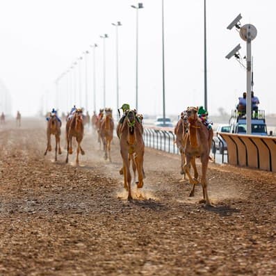 Al marmoom Heritage Village