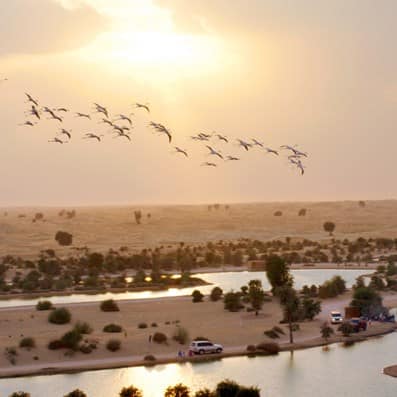 Al Qudra Lakes Dubai
