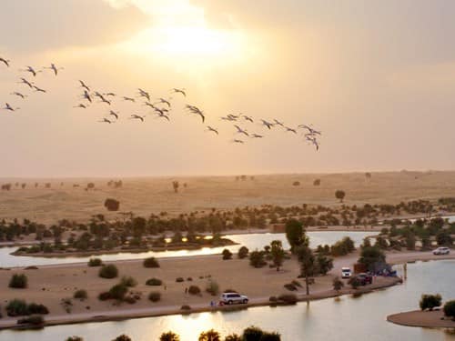 Al Qudra Lakes Dubai