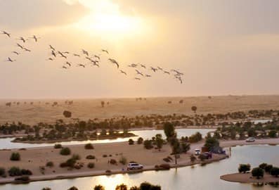 Al Qudra Lakes