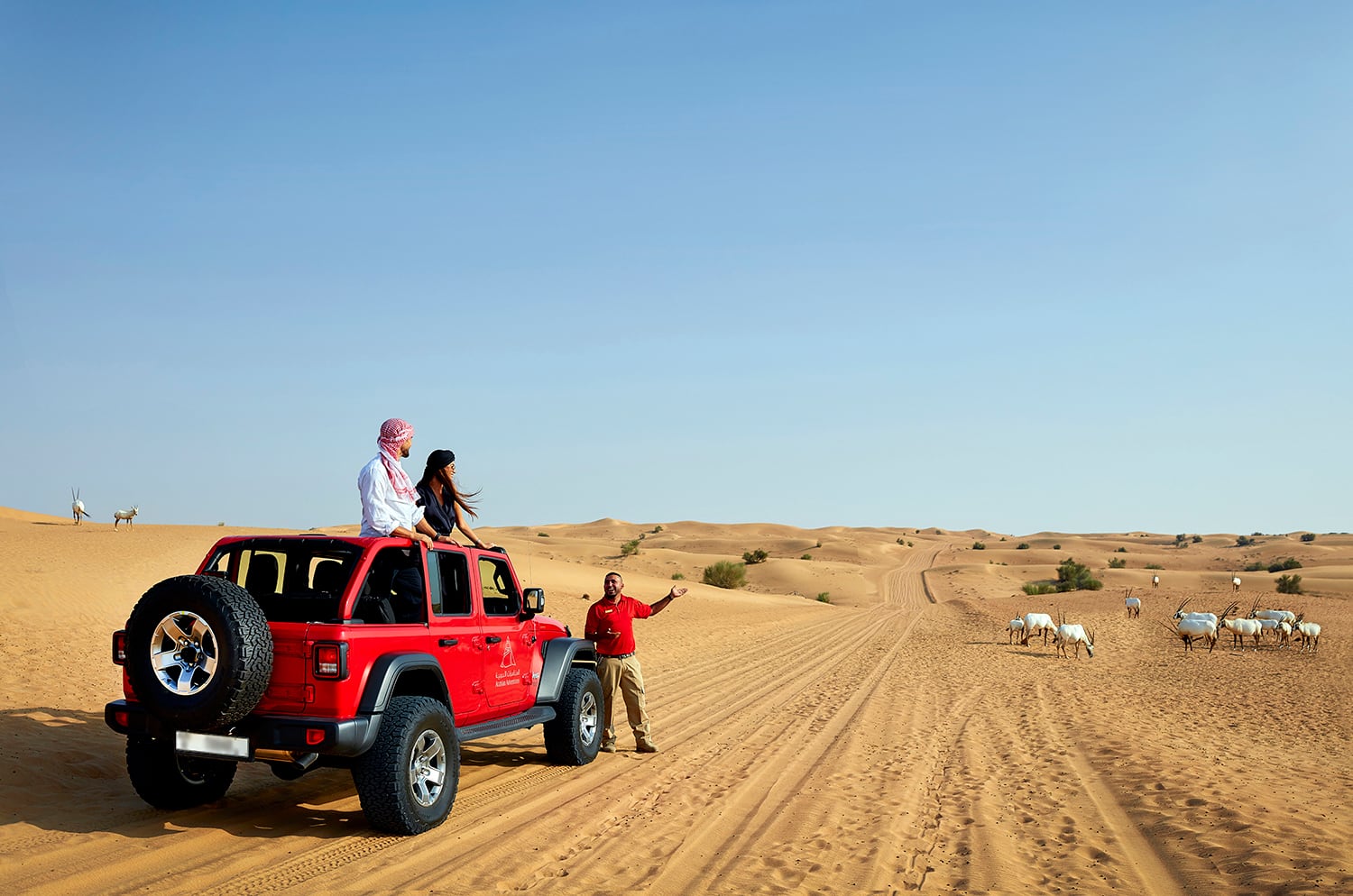 arabian adventure tours dubai