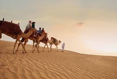 Arabian Desert Tours