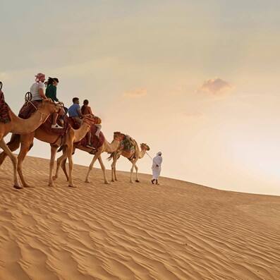 Arabian Desert Tours
