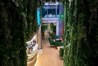 Banya Forrest interior