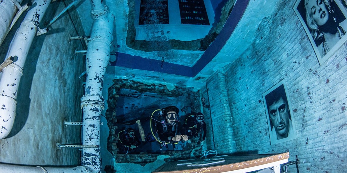 Explore Deep Dive Dubai's underwater habitats