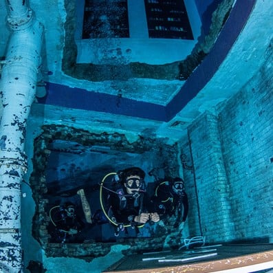 Explore Deep Dive Dubai's underwater habitats