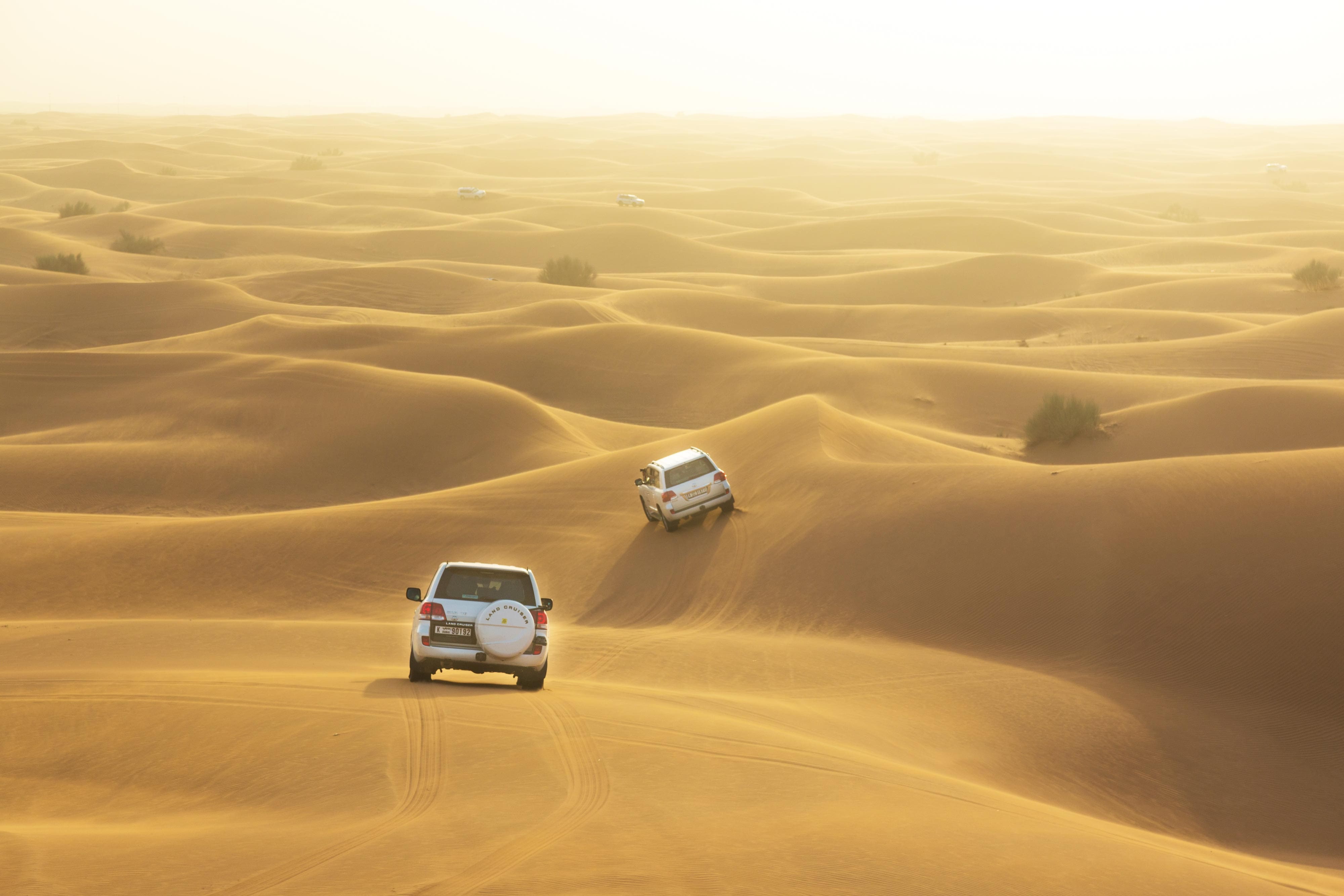 excursion dubai desert