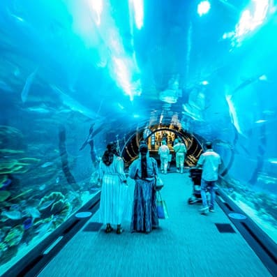 Aquarium & Underwater Zoo i Dubai Mall Visit Dubai