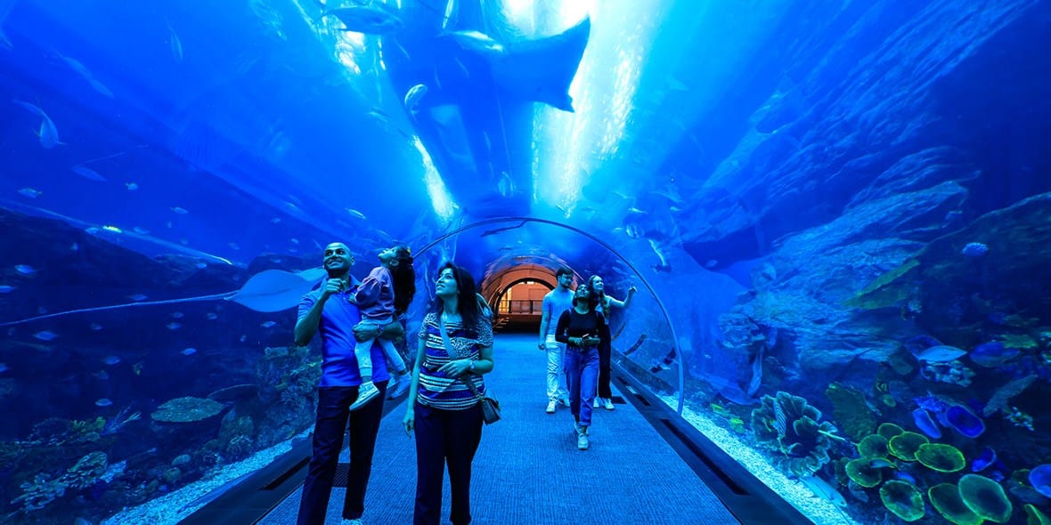 Visitors at Dubai Aquarium and Underwater Zoo