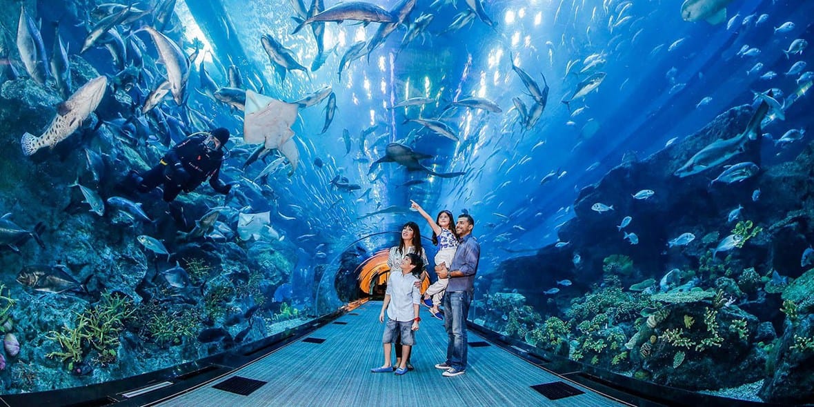 Dubai Aquarium and Underwater Zoo