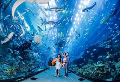 Family standing inside the tunnel at Dubai Aquarium & Underwater Zoo