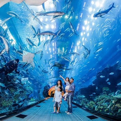 Dubai Aquarium and Underwater Zoo