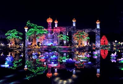 Dubai Garden Glow