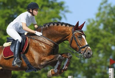 Dubai Polo & Equestrian Club