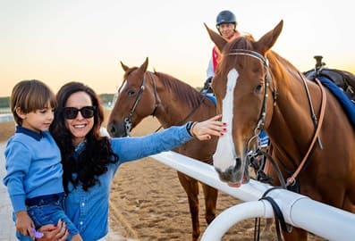 Dubai racing club tours family