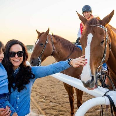 Dubai racing club tours family