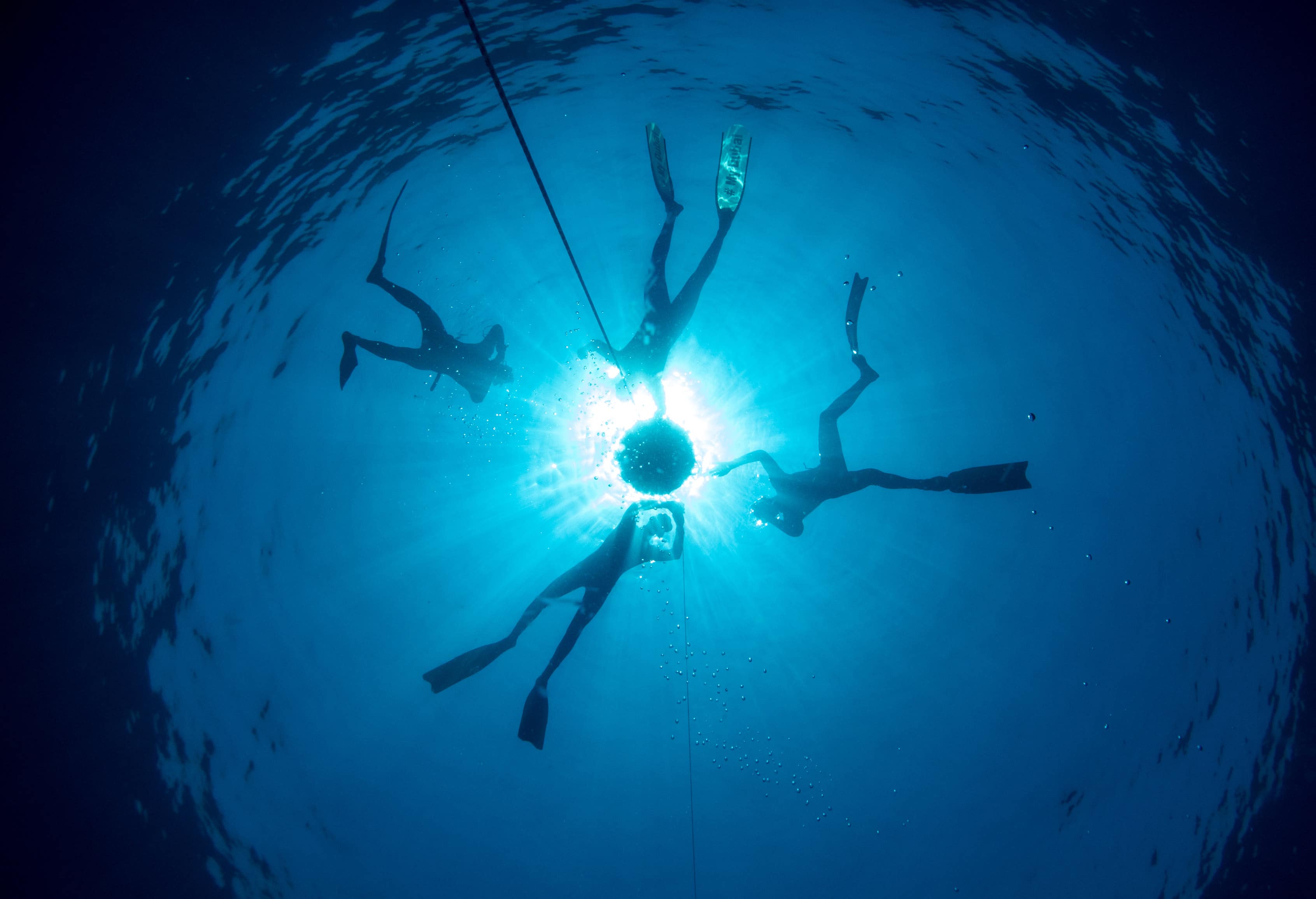 The Freediving Club UAE Diving Courses in Dubai Visit Dubai