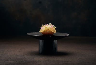 Minimalist fine dining dish presentation at FZN restaurant