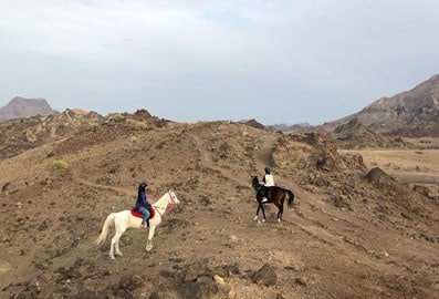 hatta-horses-ig-1-v2