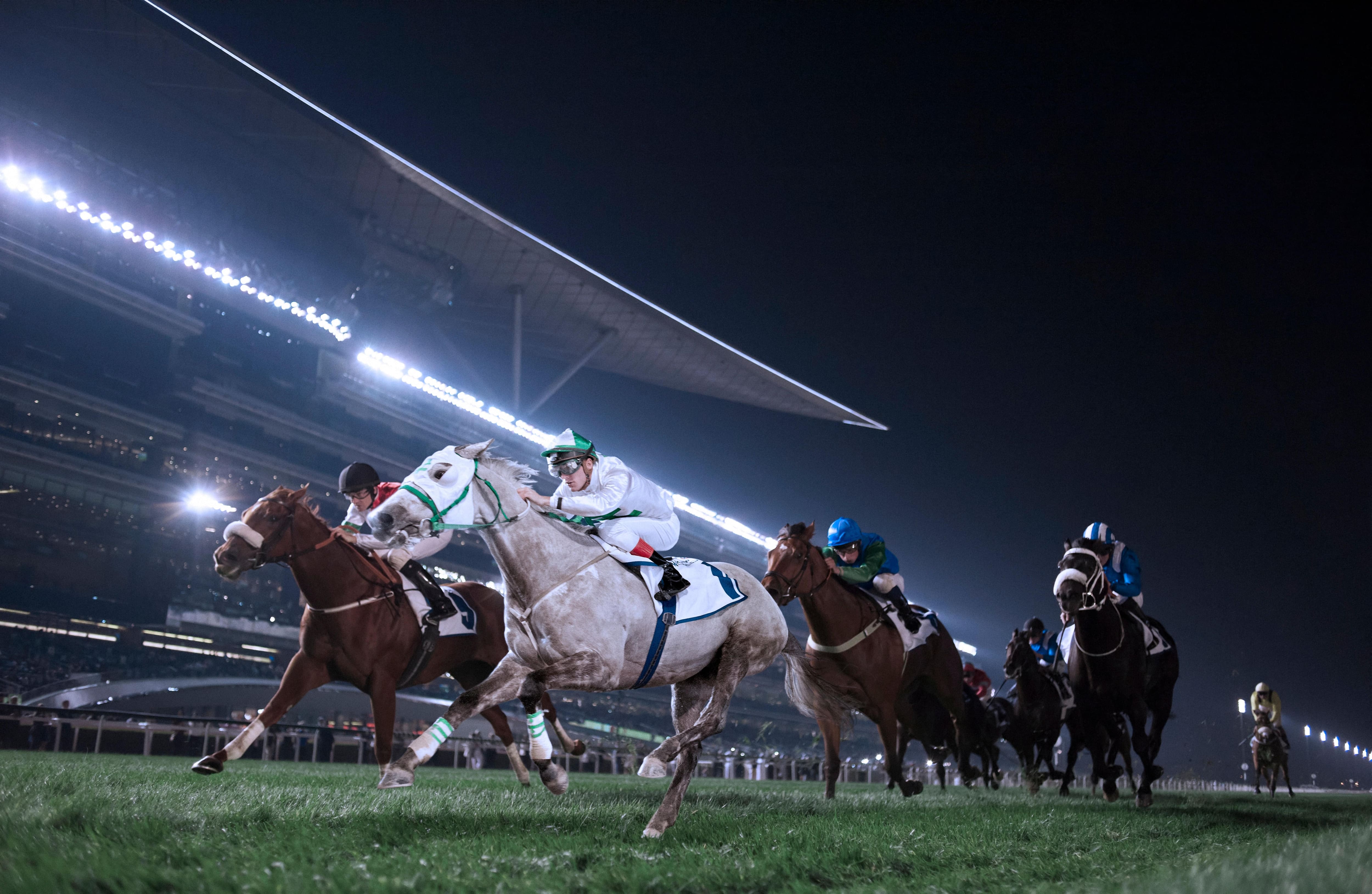 Meydan Racecourse Dubai racing