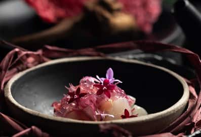 Nazcaa Supplied Pink Ceviche