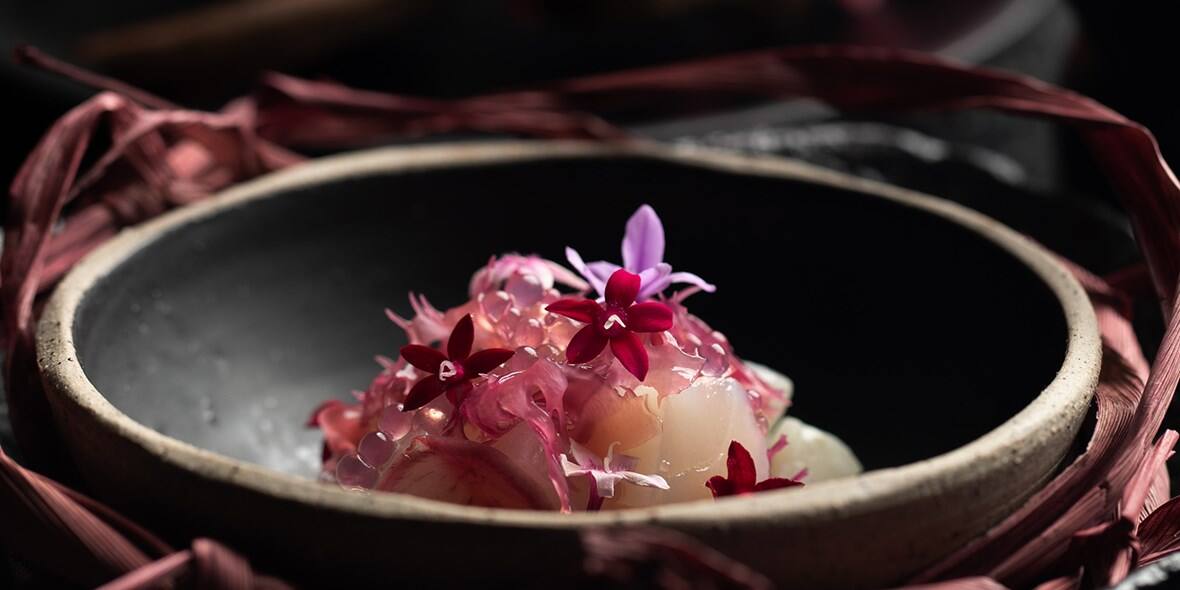 Nazcaa Supplied Pink Ceviche