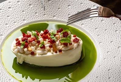 burrata dish at opso restaurant dubai