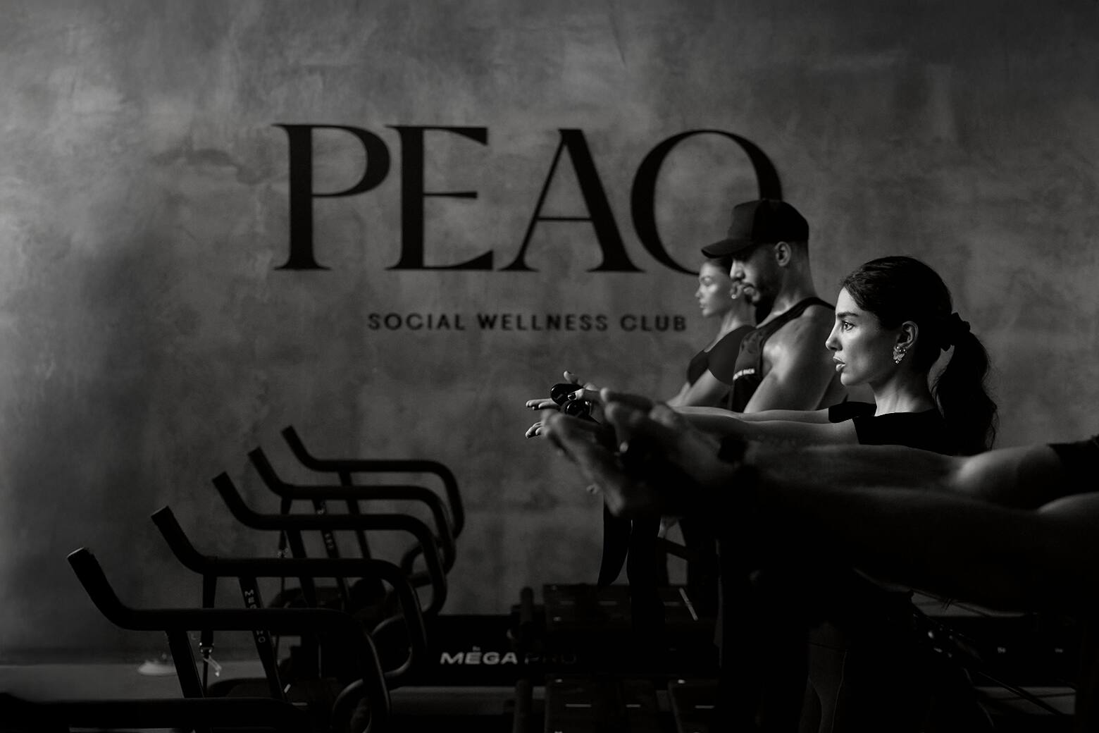 Peaq Wellness Club 