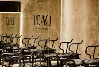 Peaq Wellness Club