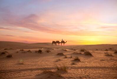 platinum-heritage-09