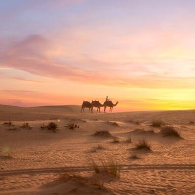 platinum-heritage-09