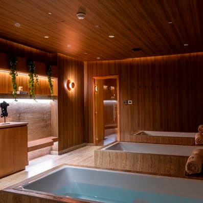 Re One Central Social Wellness Club ice bath