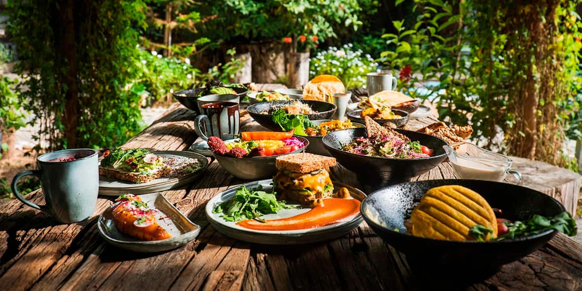 /GatherContent/poi/s/seva/fallback-image/healthy-food-in-dubai-seva